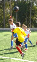 /album/galeria-de-fotos/a72-jpg/